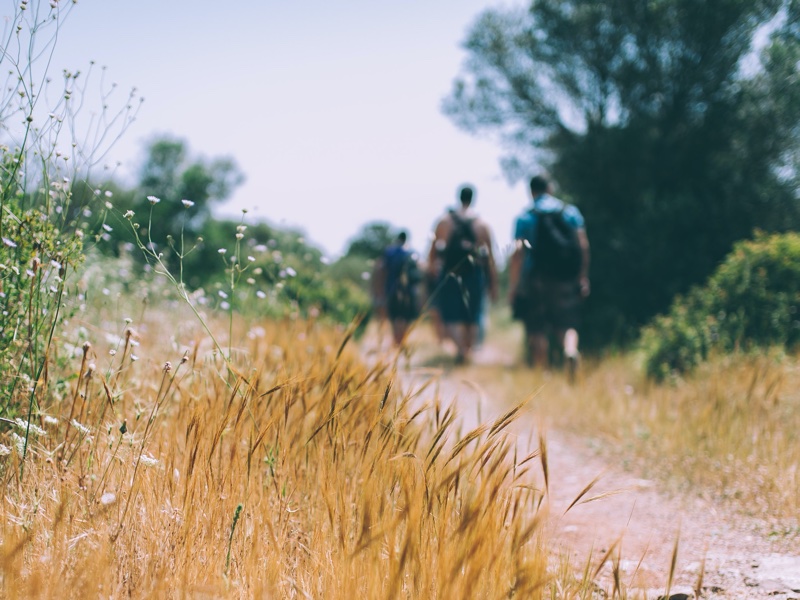 能走一步算一步