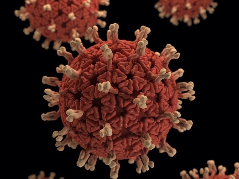 新冠肺炎单位面积确诊数城市排名